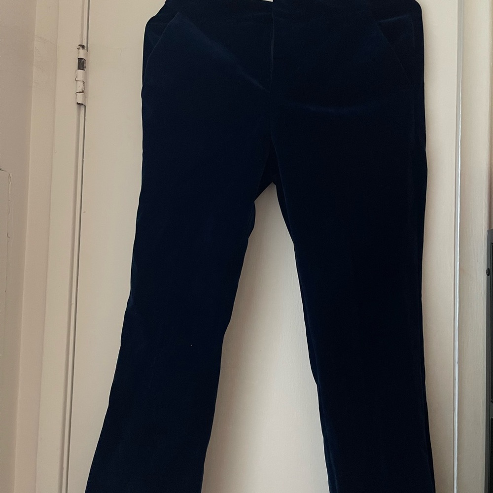 Velvet pants